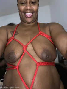 15824026