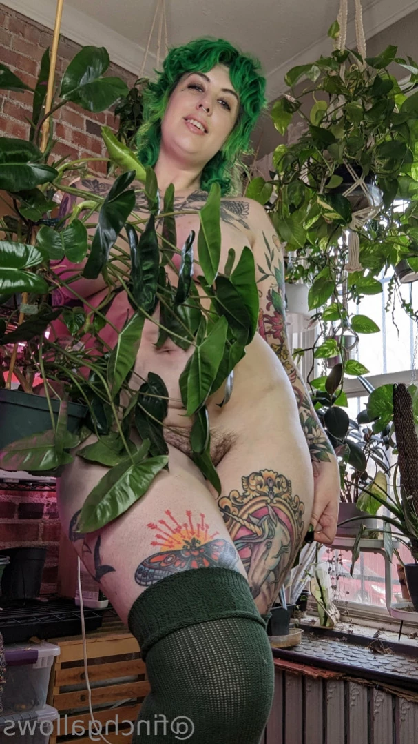 Finch [ finchgallows ] Onlyfans leaked photo 12697588 on Hotleaks.tv