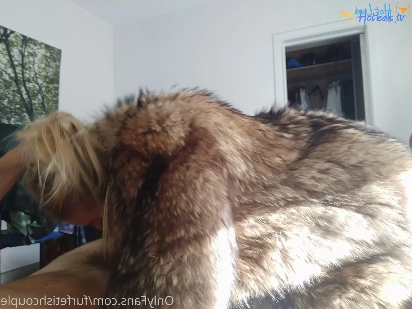 furfetishcouple Onlyfans leaked photo 12088031 on Hotleaks.tv