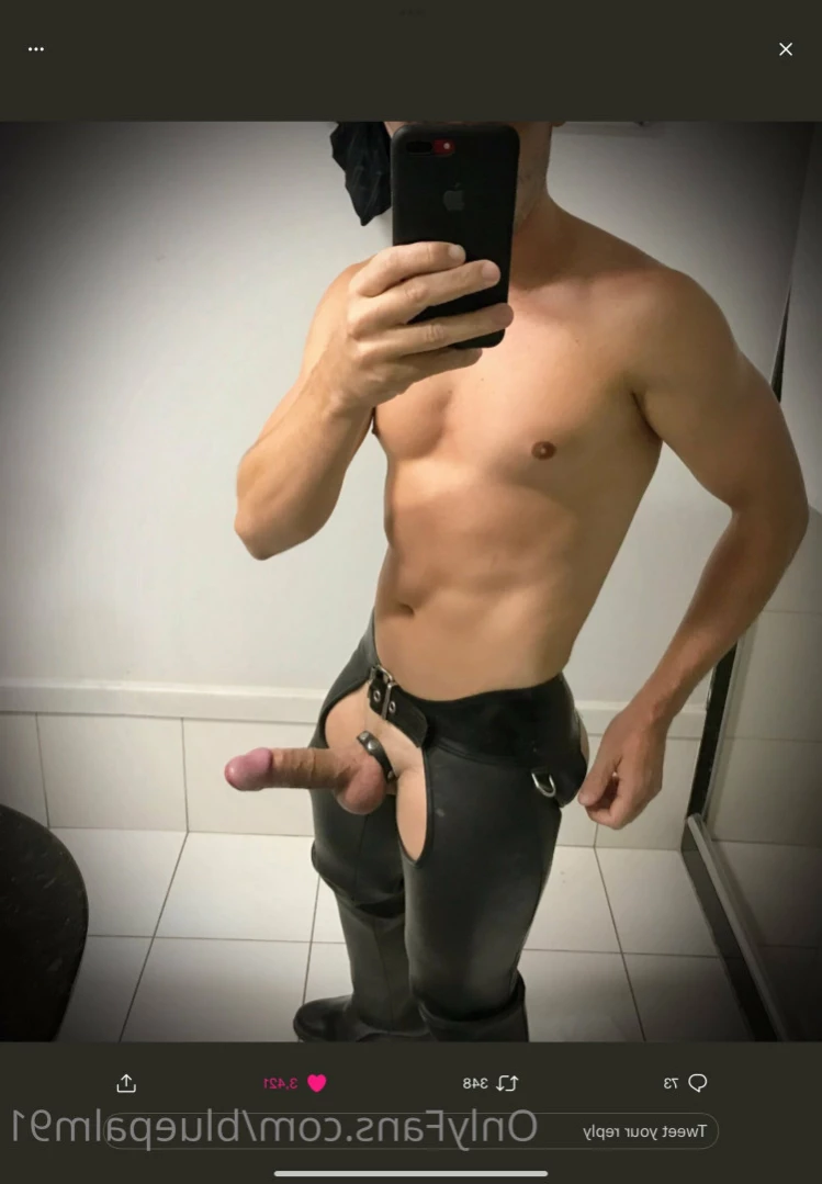 gayb0ybluepalm91 Onlyfans leaked photo 12070893 on Hotleaks.tv