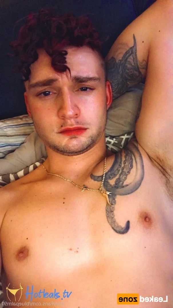 gayb0ybluepalm91 Onlyfans leaked photo 14084580 on Hotleaks.tv