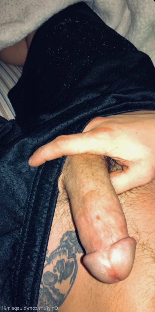 gayb0ybluepalm91 Onlyfans leaked photo 14094008 on Hotleaks.tv