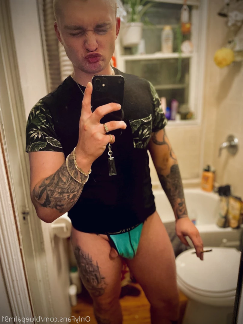 gayb0ybluepalm91 Onlyfans leaked photo 14094039 on Hotleaks.tv