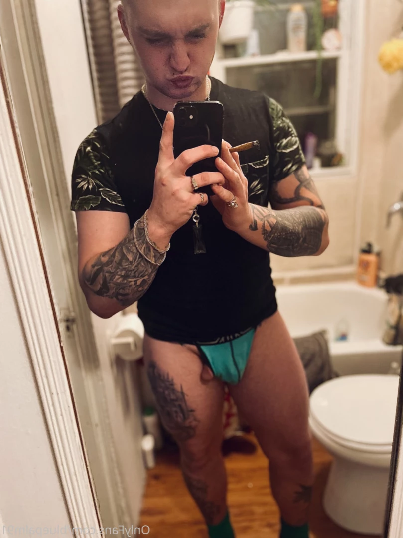 gayb0ybluepalm91 Onlyfans leaked photo 15230403 on Hotleaks.tv