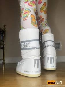 15778026