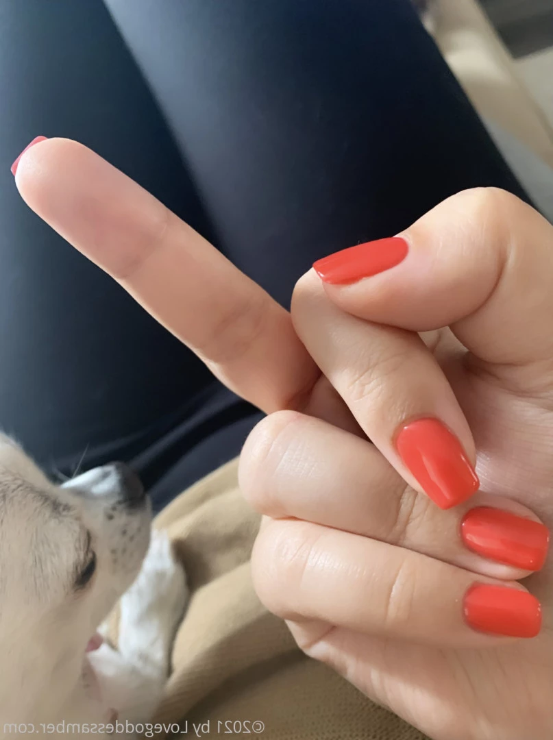 Goddess Amber [ goddessamber ] Onlyfans leaked photo 8559484 on Hotleaks.tv