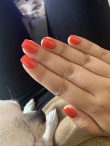 8564114