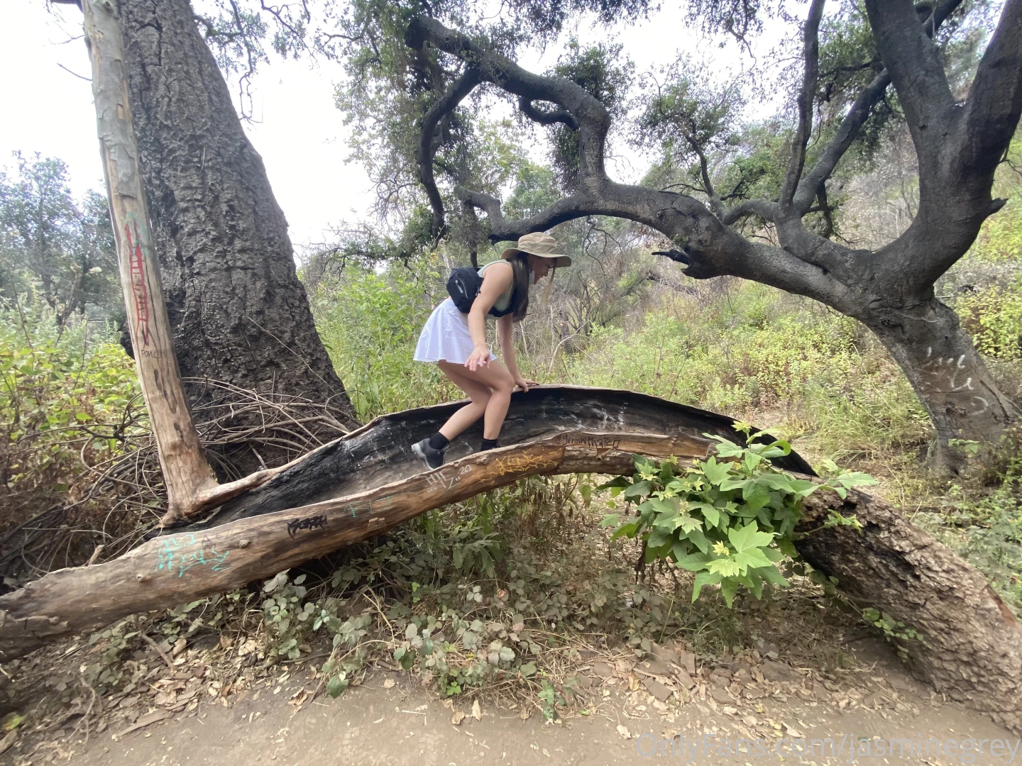 Jasmine Grey [ jasminegrey ] Onlyfans leaked photo 17066401 on Hotleaks.tv