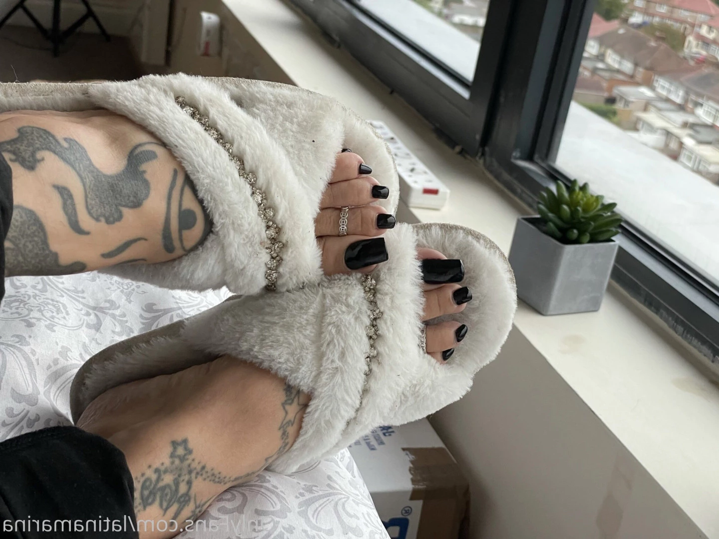 Latina Marina [ latinamarina ] Onlyfans leaked photo 8342353 on Hotleaks.tv