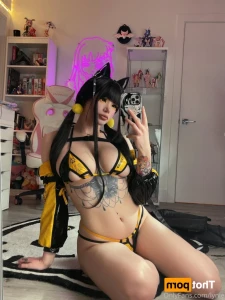 16278631