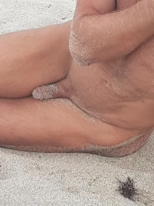 9756156