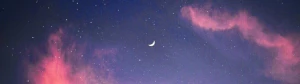 14262188