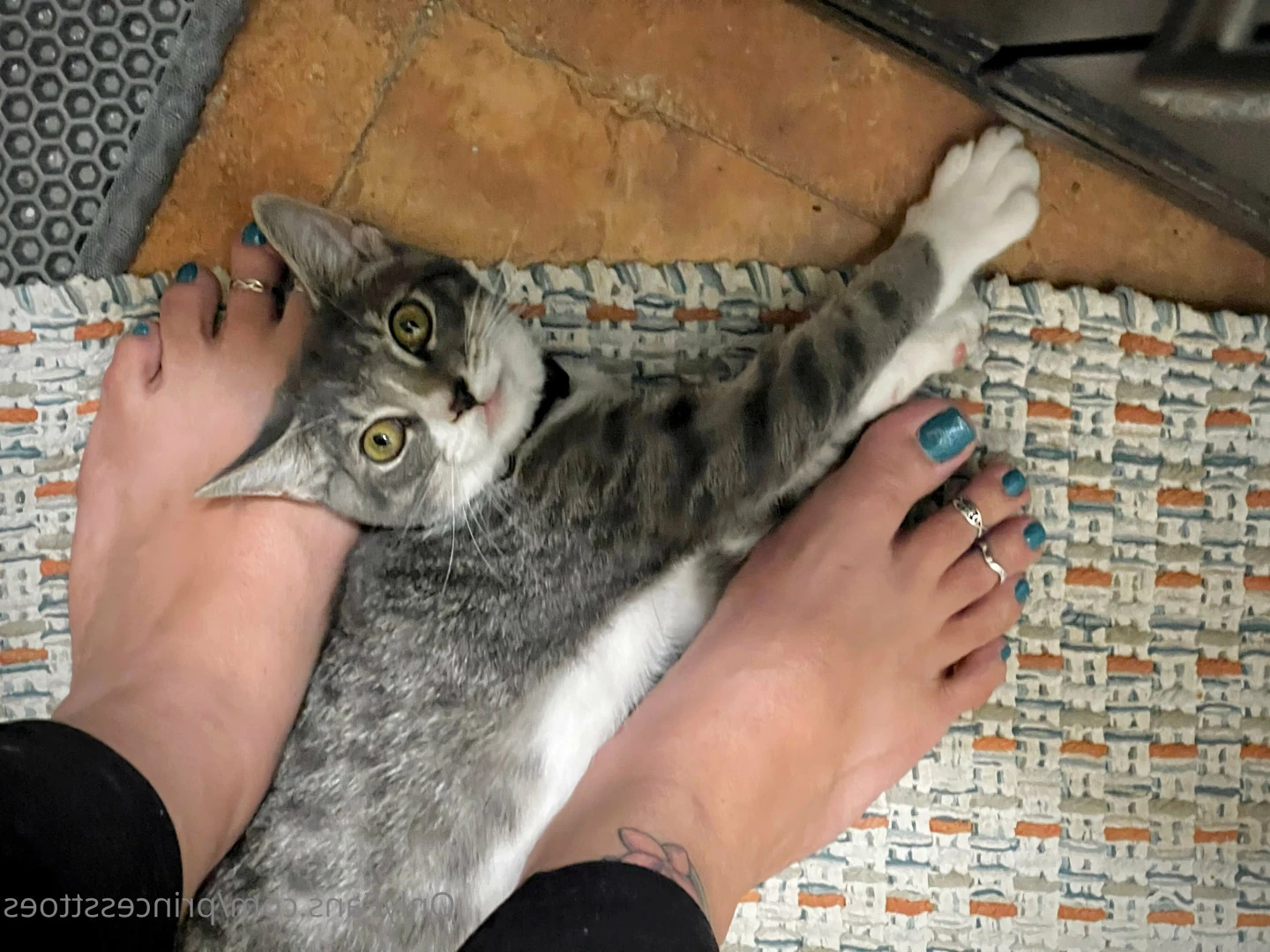 Princess Twinkle Toes [ princessttoes ] Onlyfans leaked photo 8349634 on Hotleaks.tv