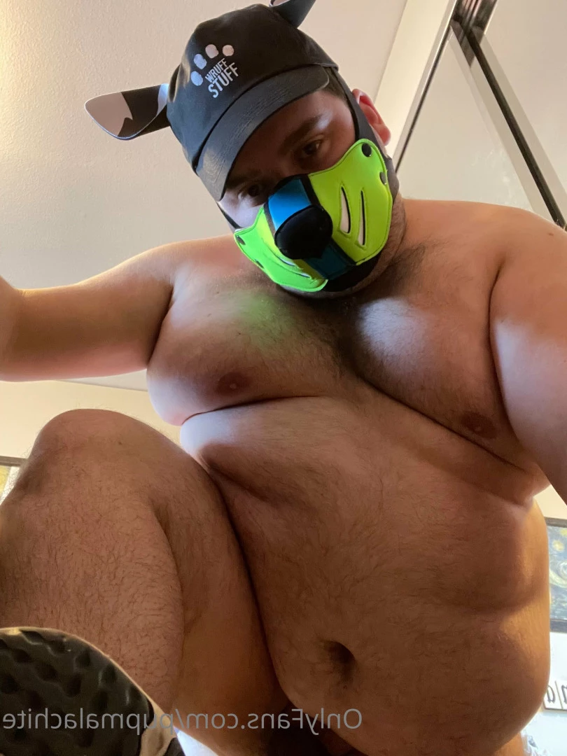 Pup Pulsar (Formerly Malachite) [ puppulsar ] Onlyfans leaked photo 8273151 on Hotleaks.tv