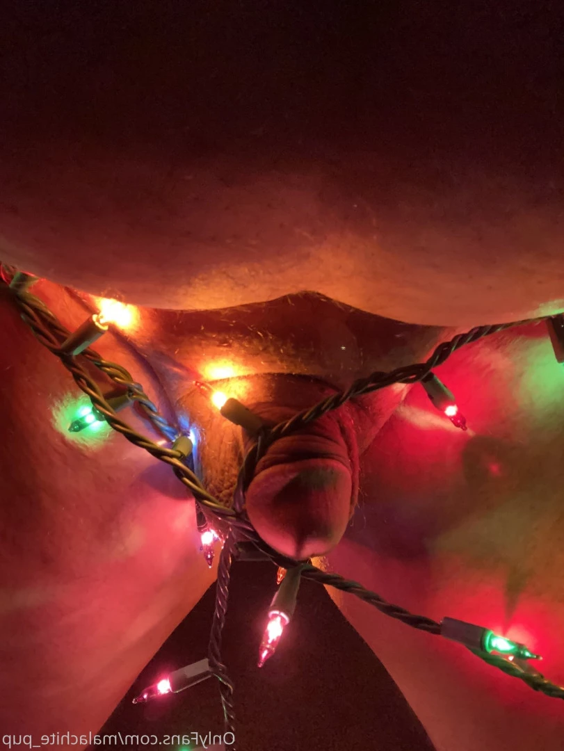 Pup Pulsar (Formerly Malachite) [ puppulsar ] Onlyfans leaked photo 8273556 on Hotleaks.tv