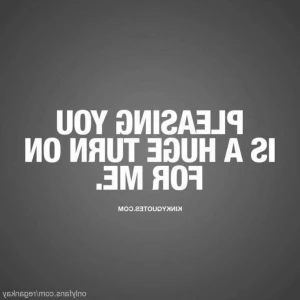 16333739