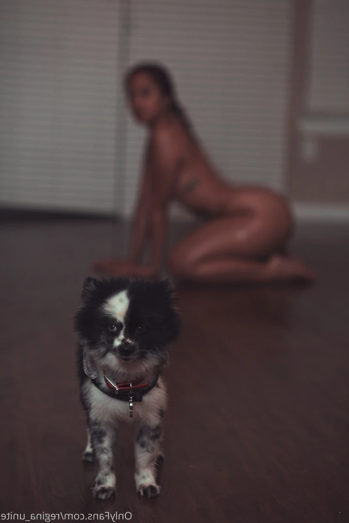 Regina Unite™ [ regina_unite ] Onlyfans leaked photo 8381509 on Hotleaks.tv