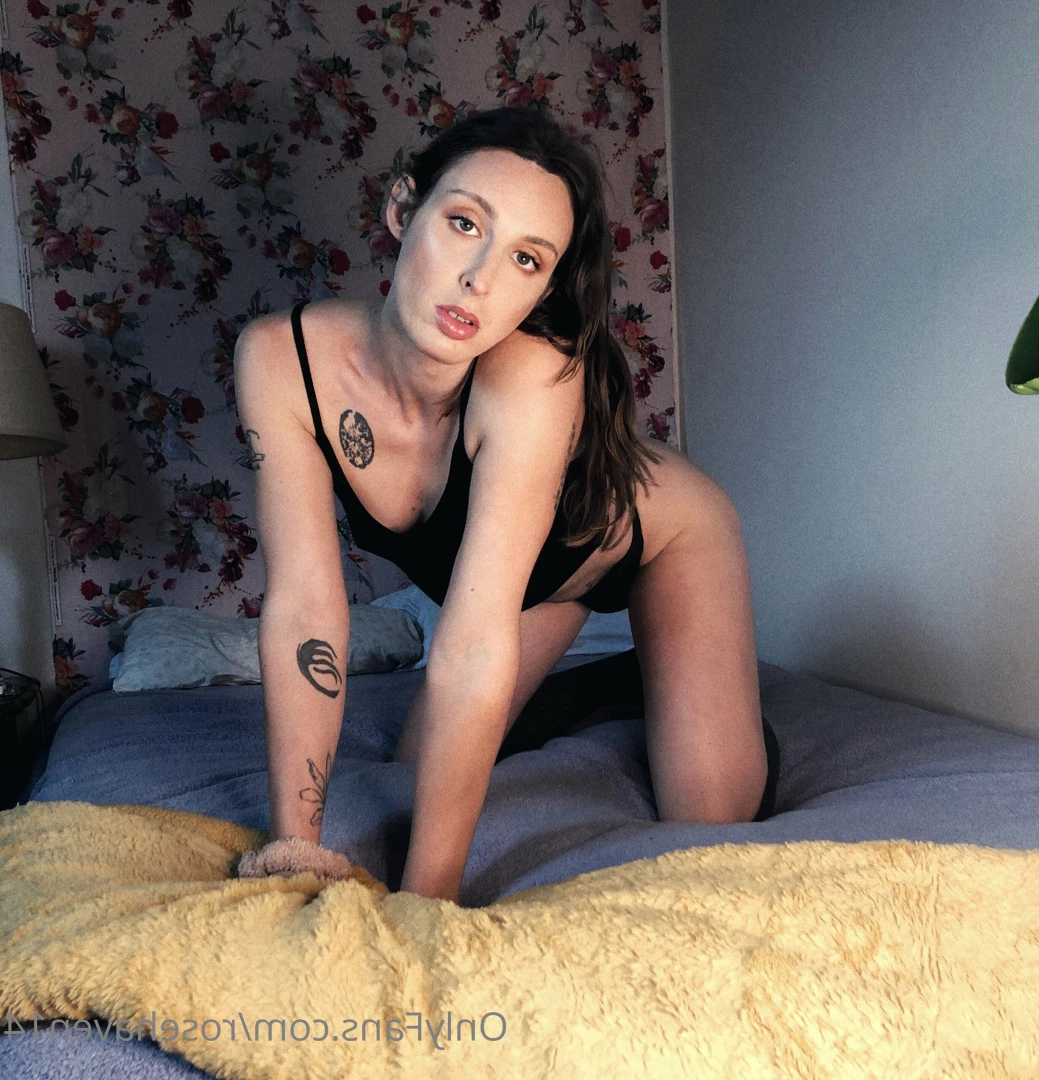 rosehaven14 Onlyfans leaked photo 8222249 on Hotleaks.tv