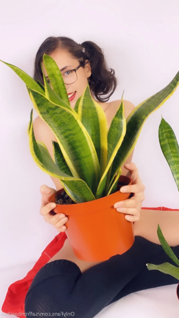 Saffron Bacchus [ saffronbacchus ] Onlyfans leaked photo 12152259 on Hotleaks.tv