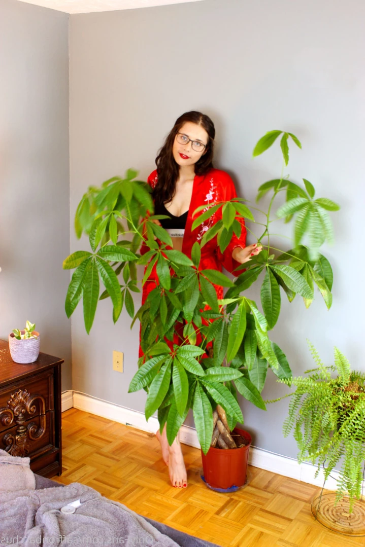 Saffron Bacchus [ saffronbacchus ] Onlyfans leaked photo 12847646 on Hotleaks.tv