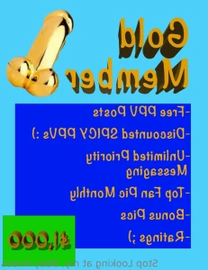 14243233