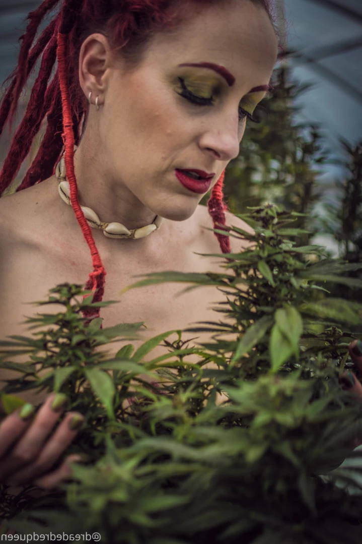 Persephone [ dreadedredqueen ] Onlyfans leaked photo 14696859 on Hotleaks.tv
