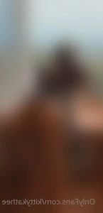 14255038