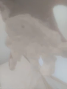 15634977