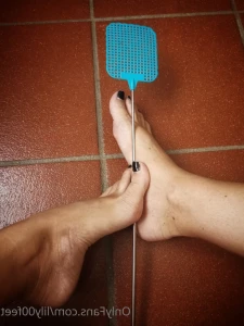 15956137