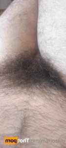15066668