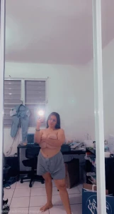 15501804