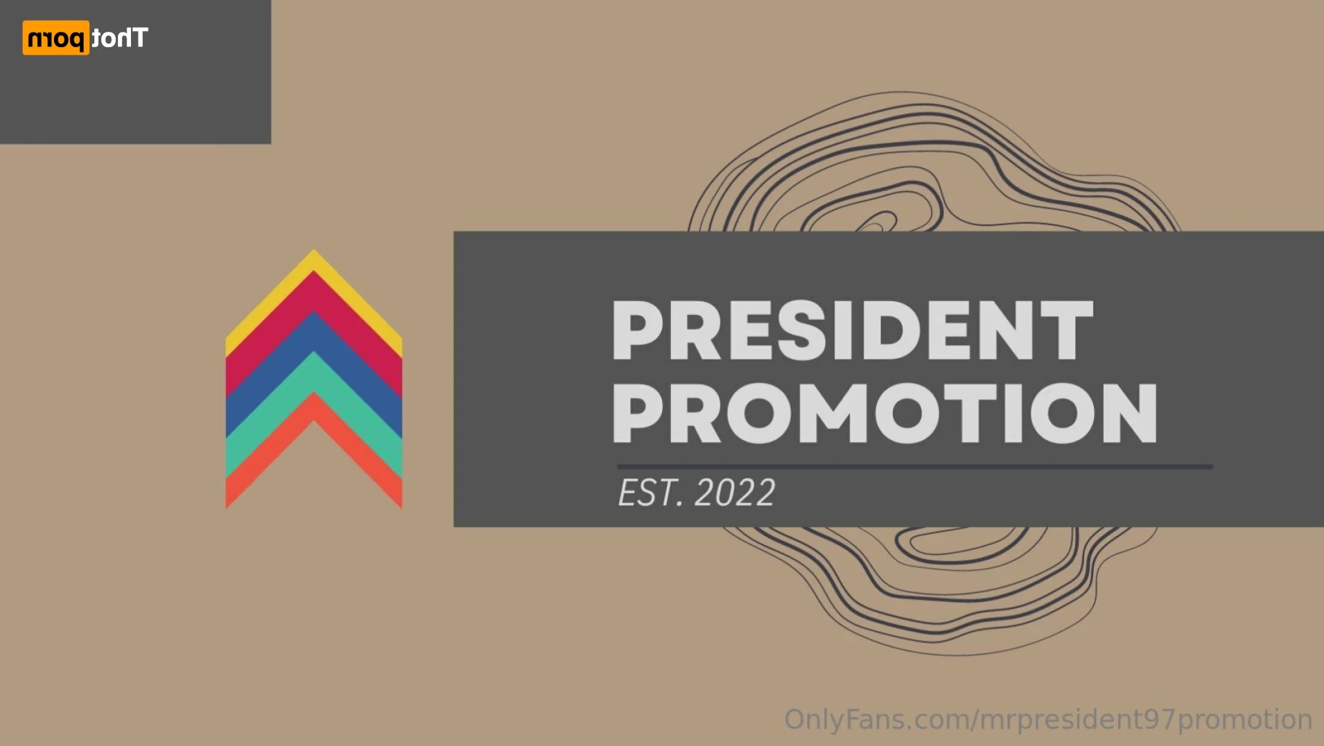 President Promotion Agency [ mrpresident97promotion ] Onlyfans leaked photo 12421452 on Hotleaks.tv