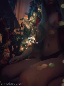 12306433