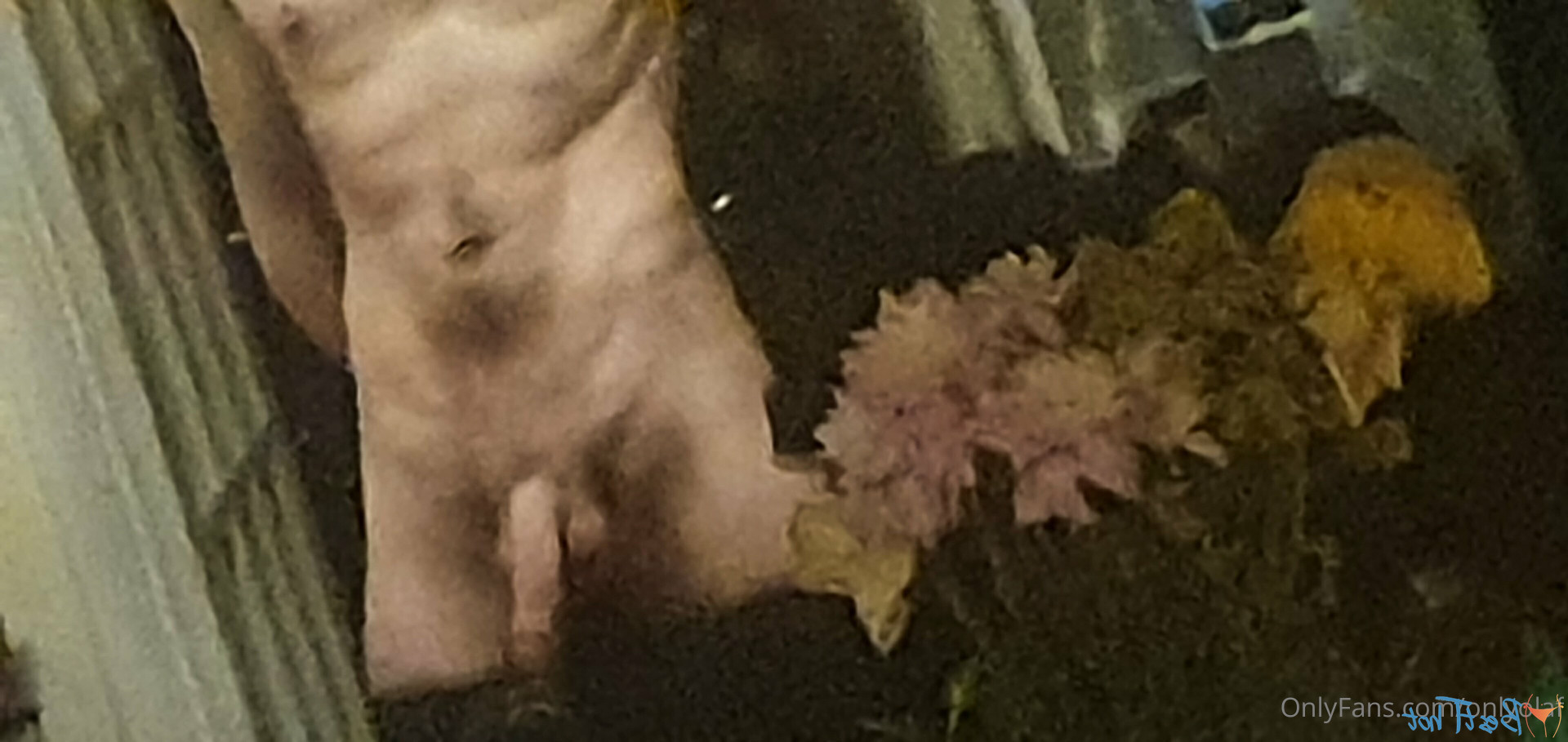onlyolaf Onlyfans leaked photo 17215839 on Hotleaks.tv