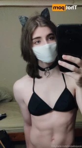 15589132