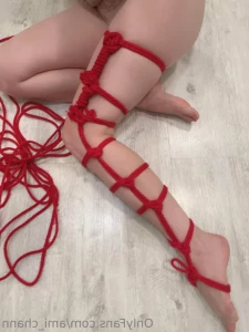 16055876
