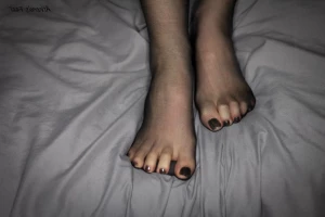 16258524