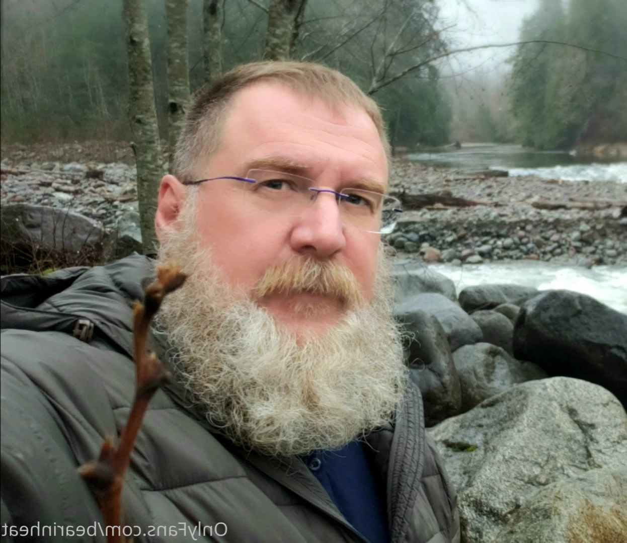 The Daddy Bear Life [ bearinheat ] Onlyfans leaked photo 11291564 on Hotleaks.tv