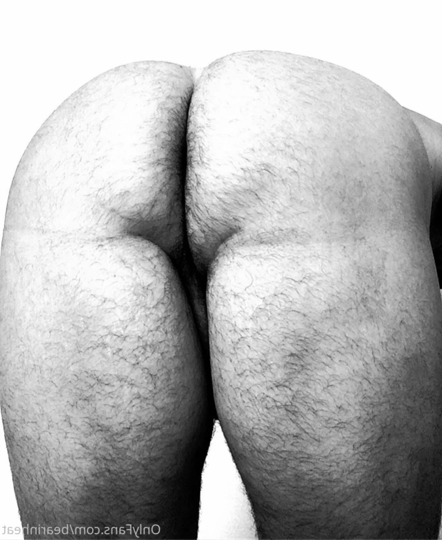 The Daddy Bear Life [ bearinheat ] Onlyfans leaked photo 11292104 on Hotleaks.tv