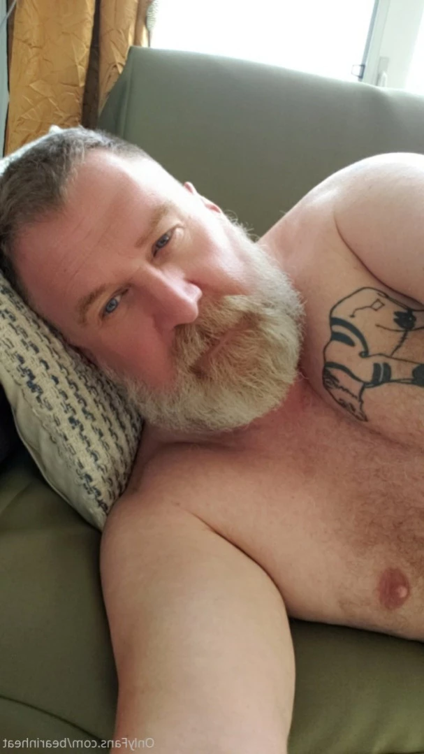 The Daddy Bear Life [ bearinheat ] Onlyfans leaked photo 14361671 on Hotleaks.tv