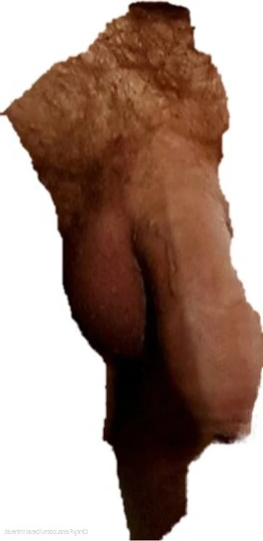 The Daddy Bear Life [ bearinheat ] Onlyfans leaked photo 15555924 on Hotleaks.tv
