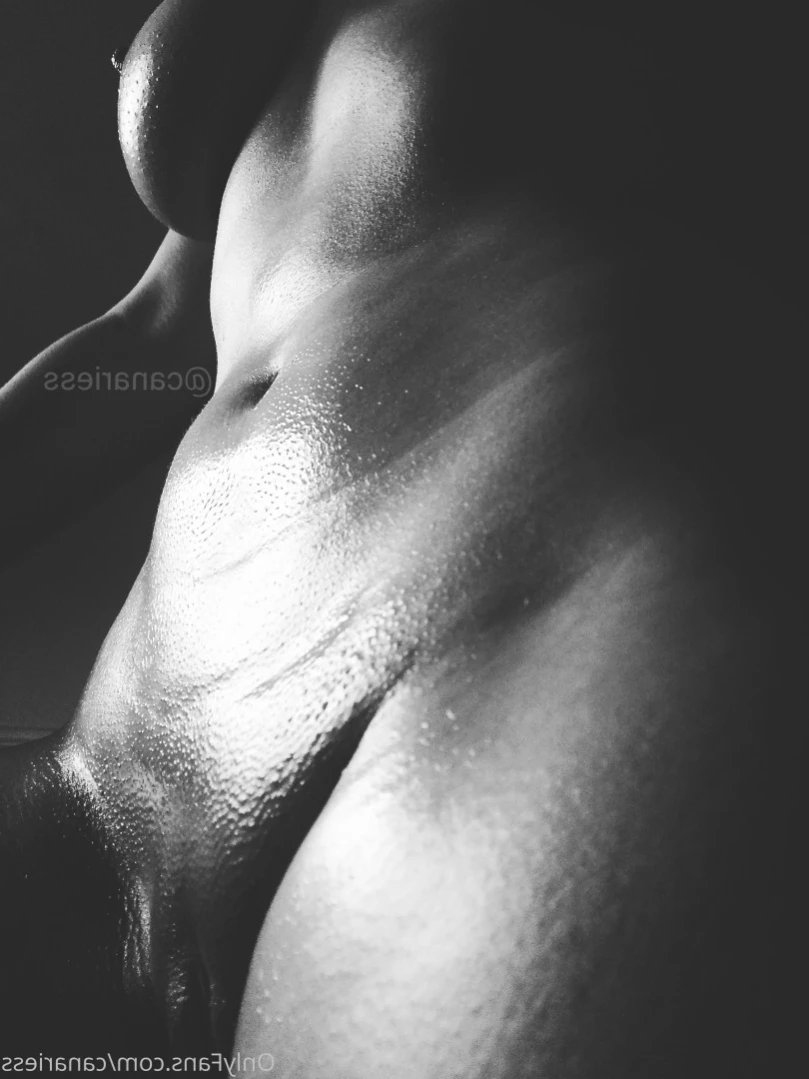 CanAries [ canariess ] Onlyfans leaked photo 12207326 on Hotleaks.tv