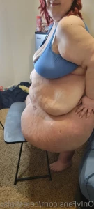 16103453
