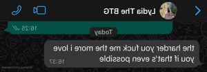 13919199