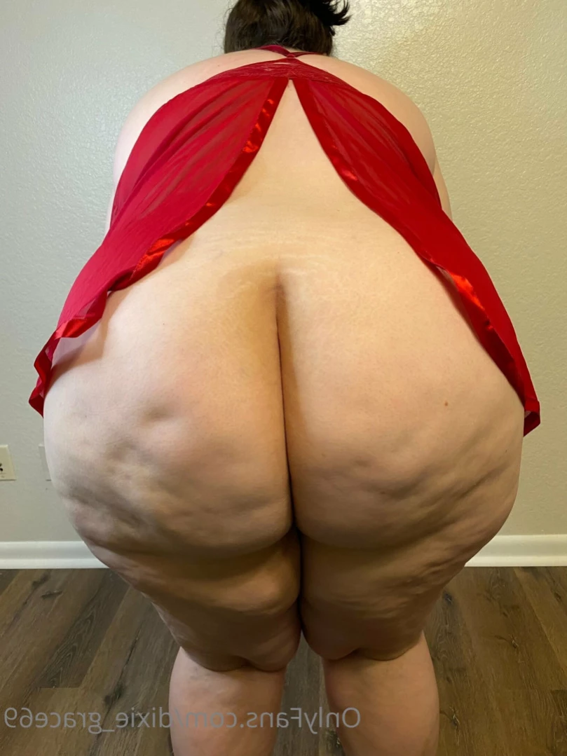 Dixie Grace [ dixie_grace69 ] Onlyfans leaked photo 15310978 on Hotleaks.tv
