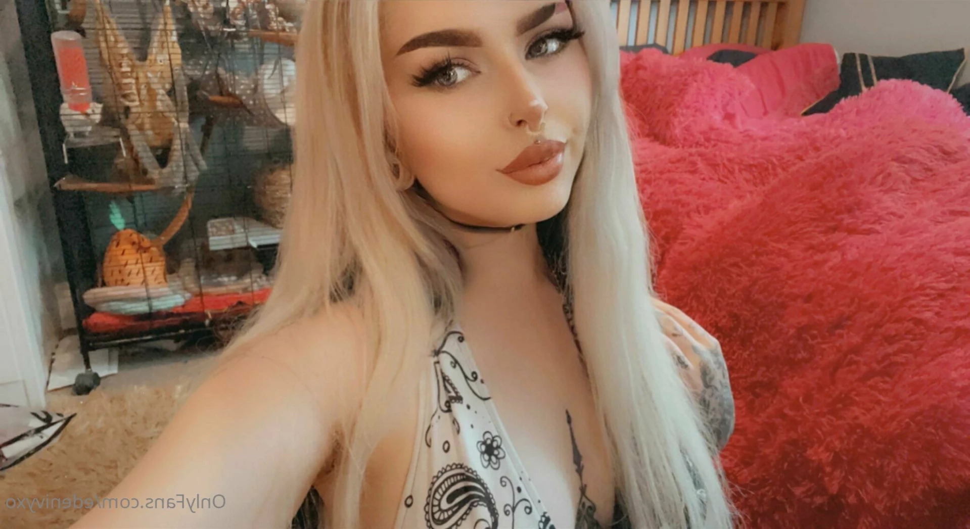 🌿✧ 𝑬𝒅𝒆𝒏 ✧🌿 [ edenxivy ] Onlyfans leaked photo 11904661 on Hotleaks.tv
