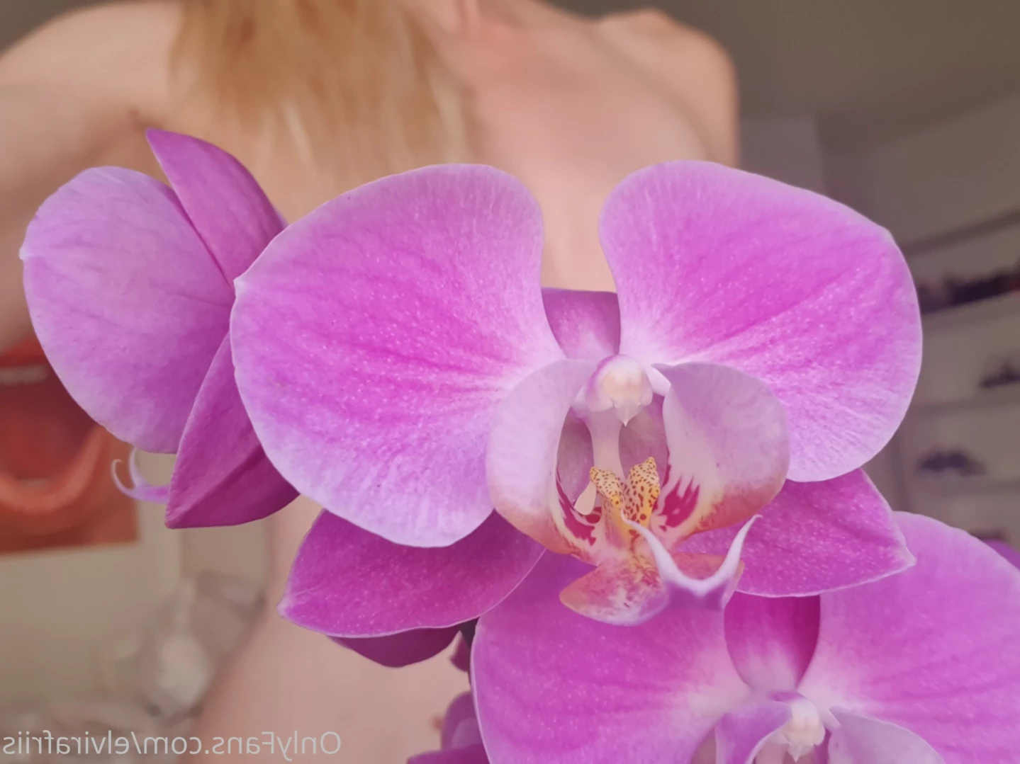 Elvira Friis [ elvirafriis ] Onlyfans leaked photo 13349019 on Hotleaks.tv