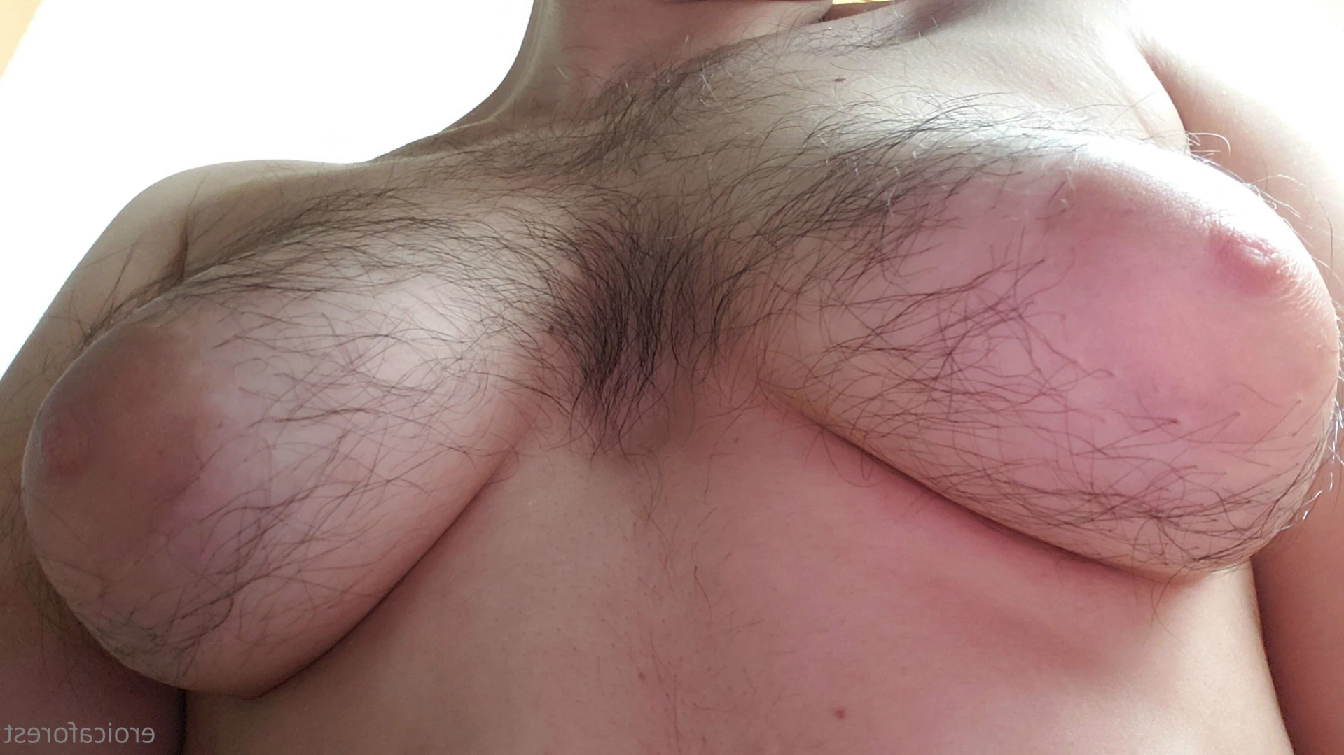 Eroica Forest [ eroicaforest ] Onlyfans leaked photo 12330278 on Hotleaks.tv