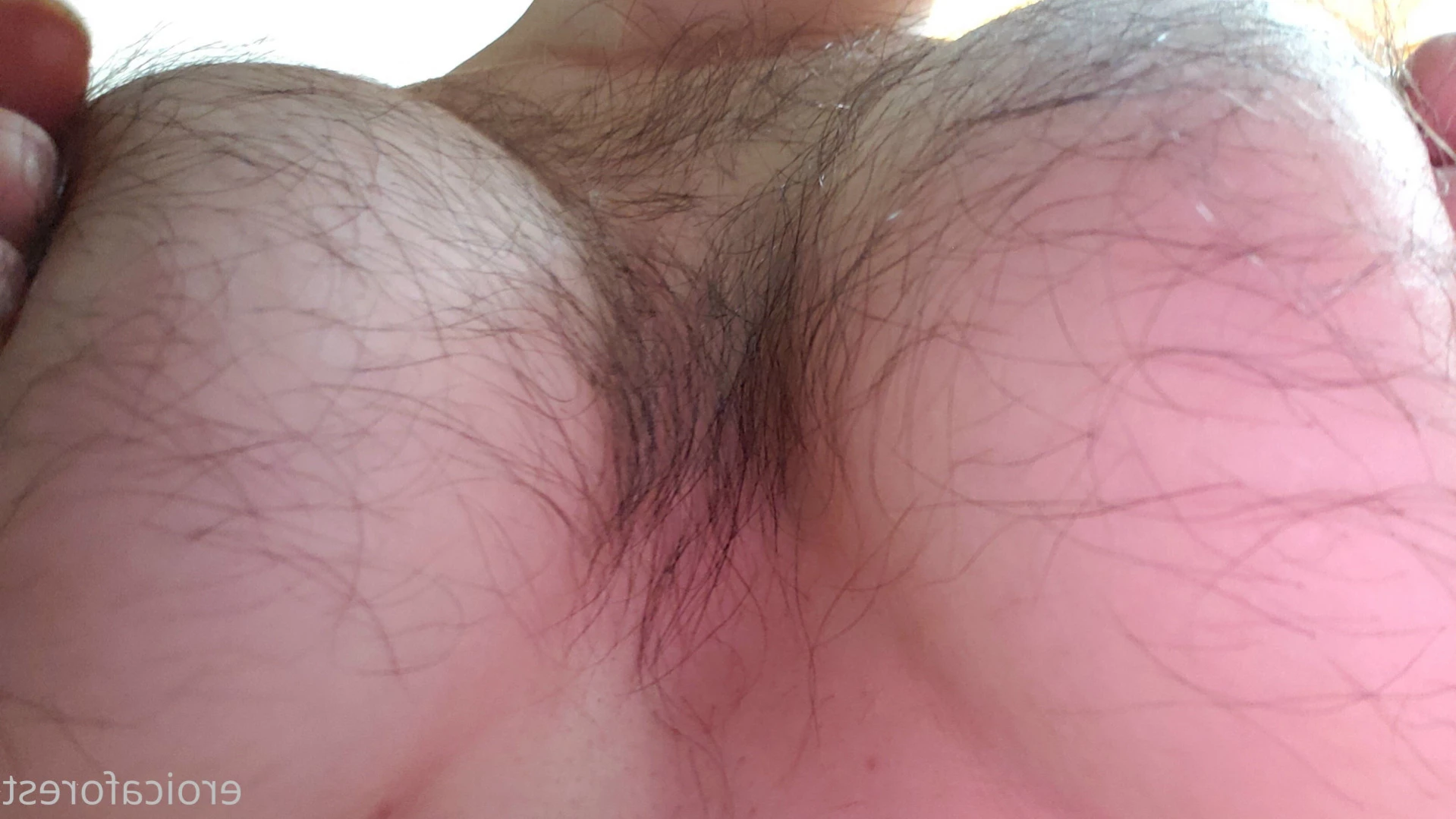 Eroica Forest [ eroicaforest ] Onlyfans leaked photo 12539698 on Hotleaks.tv