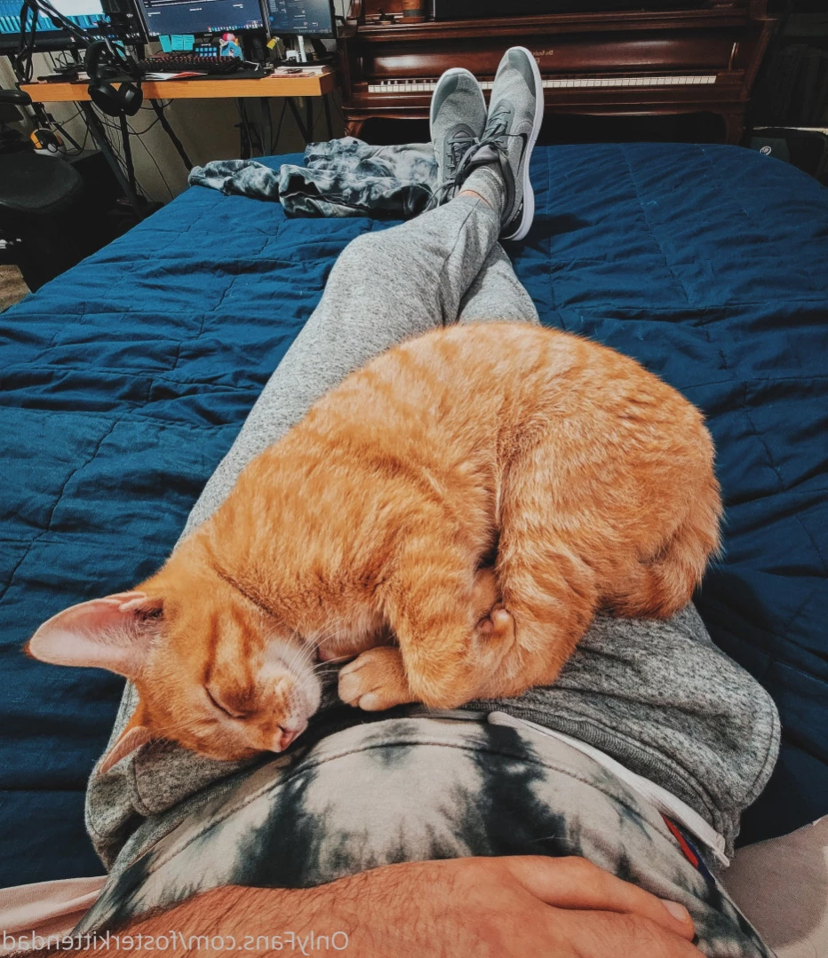 Foster Kitten Dad [ fosterkittendad ] Onlyfans leaked photo 14943429 on Hotleaks.tv